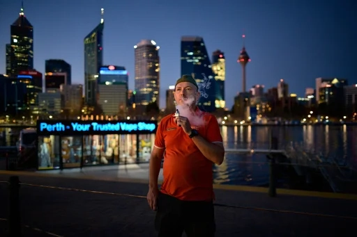 mexican mango geekbar - Professional Guide and Review