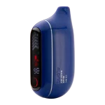 Blue Razz Icy FLONQ Max Pro ZERO