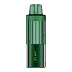 Icy Mint FOGER Switch Pro Disposable