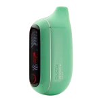 Miami Mint FLONQ Max Pro