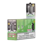 Miami Mint Geek Bar Pulse X 25k